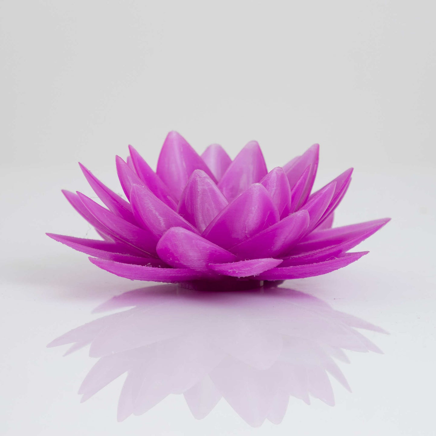 Filamento PLA Fucsia 1.75 mm
